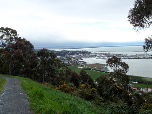 View of Nelson from the peak
